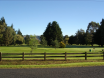 Mosgiel countryside