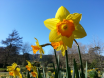 Spring has arrived