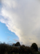 Polar Updraft Storms