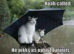 Noah Called . . . .